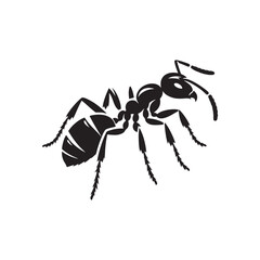 Miniature Marvels: Ant Silhouette Set Displaying the Exquisite Details of Nature's Little Wonders - Ant Illustration - Insect Silhouette - Ant Vector
