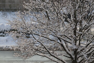 Snow pictures that were taken in Troisdorf (NRW). They look very beautiful :=)