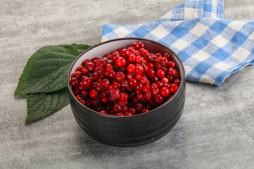 Ripe sweet wild organic cowberry