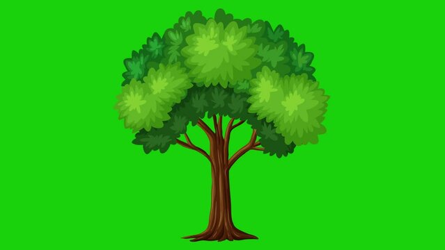 2d animated tree slowly moving with wind blowing tree moving stems and leaves against green screen. Animation for kids cartoons, ads, promotional videos. 4k quality. Alpha channel.
