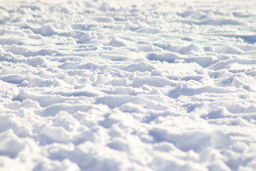 Obraz premium Snow pictures that were taken in Troisdorf (NRW). They look very beautiful :=)