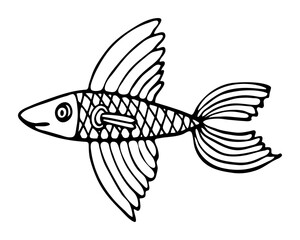 Flying fish doodle. Hand drawn graphics illustration.
