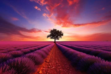 Schilderijen op glas Lavender field at sunset in Provence, France, Stunning lavender field landscape at summer sunset with a single tree, AI Generated © Ifti Digital