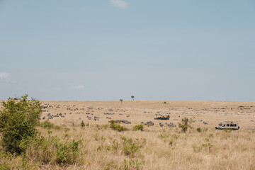 Wide angle photo of african savanna.