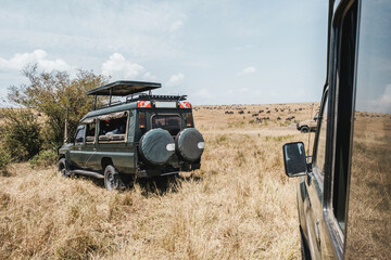 Green safari jeep for tourist in national park in Africa