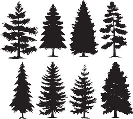 Conifer set.  Hand drawn vector illustration