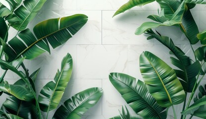 tropical banana leaves and a white tile wall