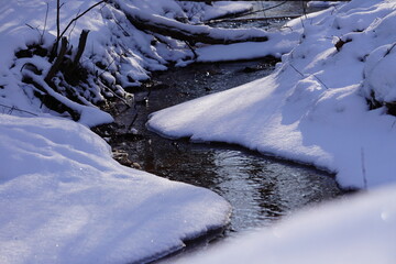 Leśny strumyk. Woda płynie krętym strumieniem w otoczeniu śniegu. Panorama na leśny strumień i zaśnieżone kłody drewna. - obrazy, fototapety, plakaty