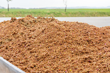 apple pomace - a nutrient rich by-product from apple juice pressing, ideal for winter feeding of...