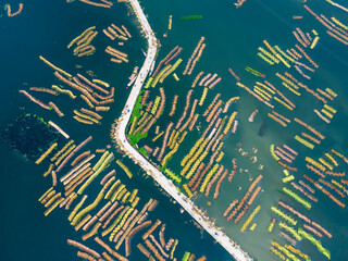 Aerial view of Eco friendly jute processing field in natore, Bangladesh. 