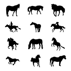 Set of horse silhouette animal set isolated on white background. Black horses graphic element vector illustration