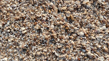 pebble stone background
