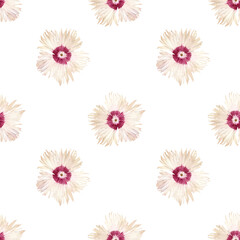 Fototapeta na wymiar Wild carnation. Seamless pattern of white flowers with a red center. Watercolor illustration of botanical ornament. For background design, packaging, textiles