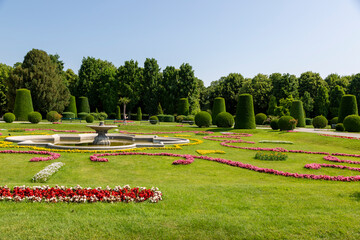 Flowerbed on the alley in the Schoenbrunn Palace Park