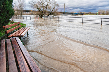 Hochwasser am Bonner Rheinufer erzwingt die Änderung von Gewohnheiten