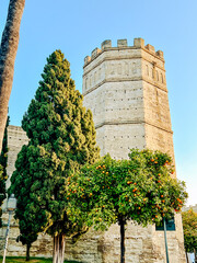 Jerez, Spain - December 30, 2023: Scenery and typical architecture in downtown Jerez, Spain  © Torval Mork