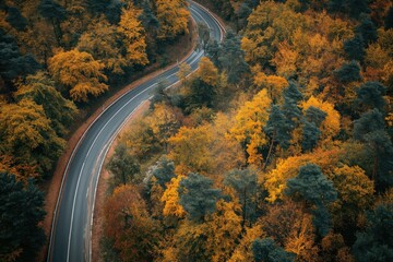 Naklejka premium High angle view of a road through an autumn forest