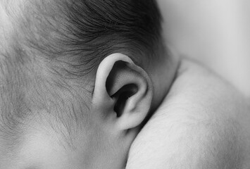 Ear of a newborn baby. Black and white photo. Macro shots.