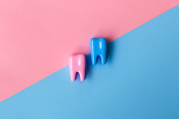 Tooth model on a blue and pink background. Dental concept. Flat lay, copy space for text. Dentistry. Place for text. Oral health and dental examination. Dentistry. Valentines day