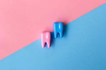 Tooth model on a blue and pink background. Dental concept. Flat lay, copy space for text....