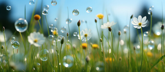 Vibrant spring meadow with fresh dew and floating bubbles amongst white wildflowers under a clear blue sky.