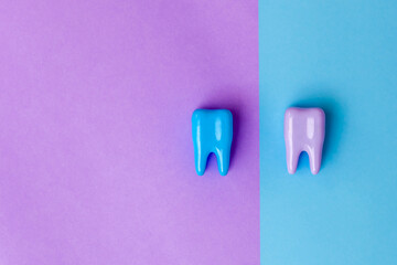 Tooth model on blue and purple background. Dental care concept. Flat lay, copy space for text. Dentistry. Place for text. Oral health and dental examination. Dentistry. Valentines day - Powered by Adobe