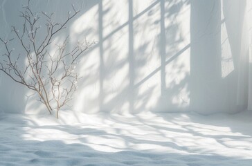 a white wall and a shadow from the window