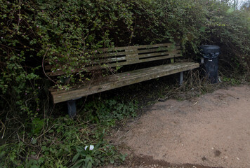 A public bench partly overgrown on a footpath in Nottingham, UK