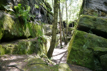 Felsenlabyrinth Langenhennersdorf in der Sächsischen Schweiz