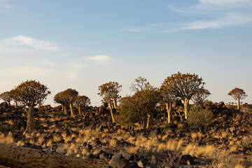 Namibia © Kühr