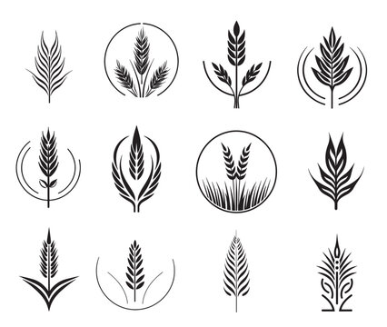 Wheat set of symbols and signs. Ears icon set, hand drawn. Vector outline linear style