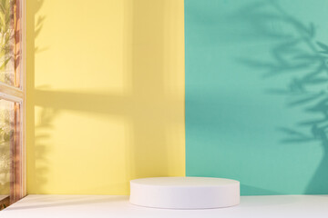 Panorama de fond d'un mur jaune et vert pastel avec un podium vide pour création d'arrière plan. Jeu d'ombre et de lumière du soleil à travers une fenêtre avec des branches d'oliviers.