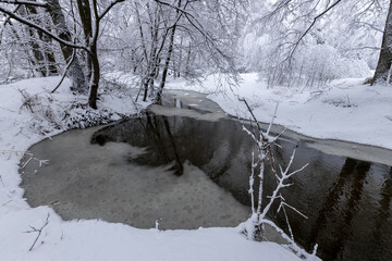 Winter landscape, snow-covered trees and stream
