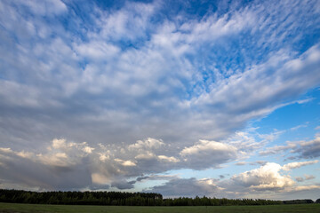 Fototapeta na wymiar Sky with clouds over a forest belt.