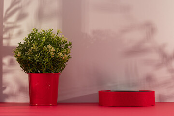 Panorama de fond d'un mur rouge et blanc avec un podium vide pour création d'arrière plan. Jeu d'ombre et de lumière du soleil à travers une fenêtre avec des branches d'oliviers.
