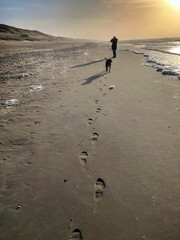 northsea coast, netherlands, julianadorp, beach, walking the dog, foot steps, 