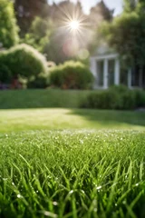 Tuinposter Green lawn with fresh grass outdoors. Mowed lawn with a blurred background of a well-groomed area on a sunny day. © 360VP