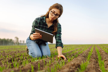 Farmer woman checks young sprouts the quality  with a digital tablet.  Smart farm. Technologies in farming.