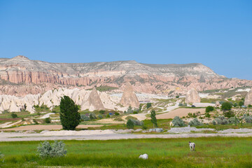 Fototapeta premium Fairy chimneys in Goreme Historic National Park in Cappadocia, Central Anatolia, Nevsehir Province, Turkey. Goreme Historic National Park is a UNESCO World Heritage Site since 1985. 