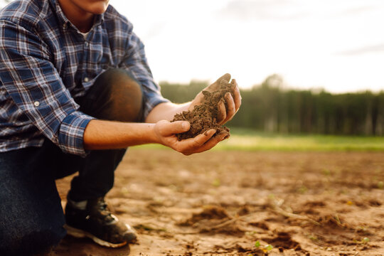Male hands touching soil on the field. Expert hand of farmer checking soil health before growth a seed of vegetable or plant seedling. Concept of agriculture, business and ecology.