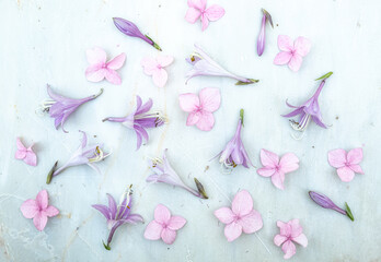 Beautiful lilac and small pink flowers on a light marble background. Top view, flat lay, copy space. Creative layout