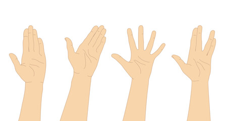 Set of hand drawn human hands. Hand palms with different gestures. Vector illustration