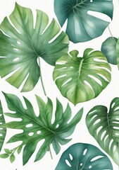 Fototapeta na wymiar Watercolor Illustration Of Tropical Leaves Isolated On White Background
