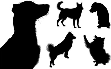 animal, vector, silueta, perros