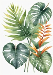 Fototapeta na wymiar Watercolor Illustration Of Tropical Leaves Foliage Plant Jungle Bush Floral Arrangement Isolated On White Background