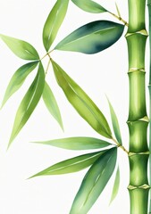 Watercolor Illustration Of A Piece Of Bamboo Trunk Isolated On White Background