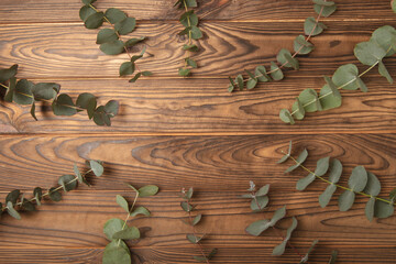 Eucalyptus leaves. Aromatherapy. Fresh eucalyptus close-up, on background. Fragrant essential oil. View from above. Copy space. Natural cosmetics and skin care concept.
