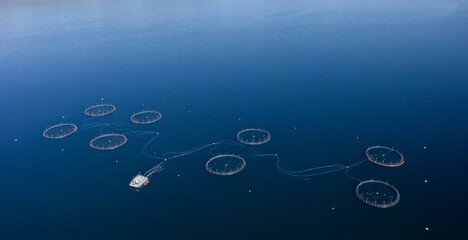Fish farm salmon round nets in natural environment Loch Fyne Arygll and Bute Scotland