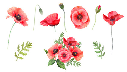Obraz premium Red poppies flower watercolor illustration. Poppy frame, border, wreath, arrangement. Floral elements for greeting designs. PNG clipart