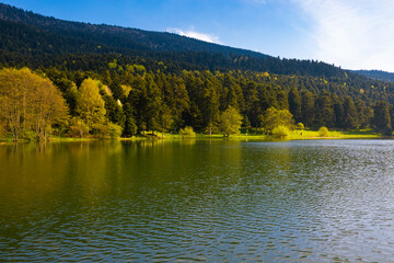Lake and forest view with partly cloudy sky in the spring